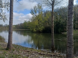 Lafrançaise-Montauban