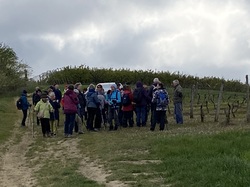 Lafrançaise-Montauban