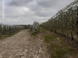 Lafrançaise-Montauban