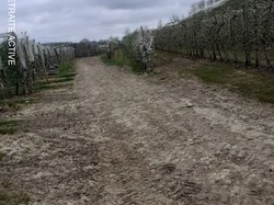 Lafrançaise-Montauban