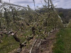Lafrançaise-Montauban