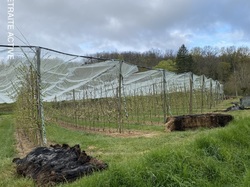 Lafrançaise-Montauban