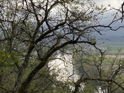 Lafrançaise-Montauban