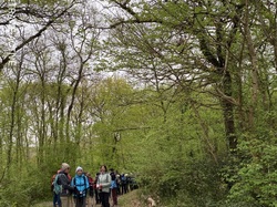 Lafrançaise-Montauban